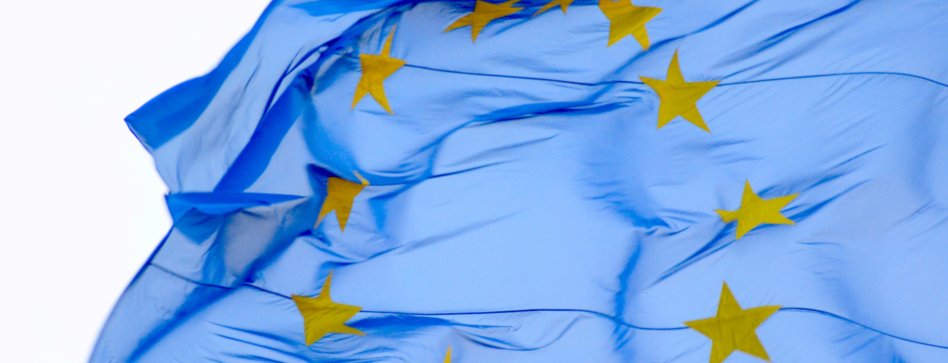 “What’s hot” in AVRIO : l’actualité de notre réseau européen de cabinets d’avocats