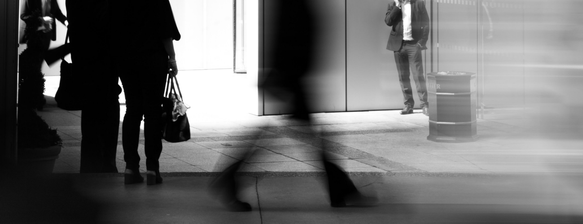Avocats : la passerelle article 98-3 n’est pas applicable aux juristes qui traitent des questions juridiques posées par les dossiers des adhérents